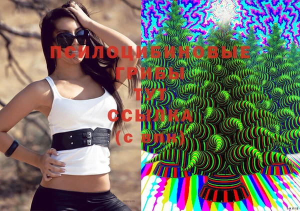 метамфетамин Новозыбков