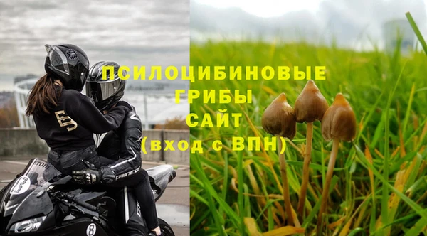 мескалин Новокубанск