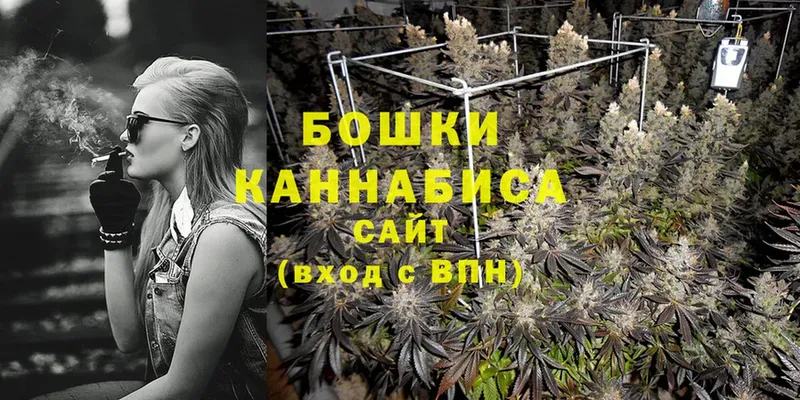 Каннабис SATIVA & INDICA  Куртамыш 